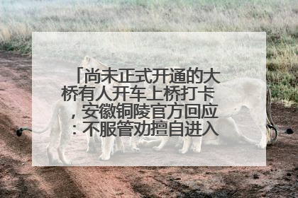 尚未正式开通的大桥有人开车上桥打卡，安徽铜陵官方回应：不服管劝擅自进入，已采取措施